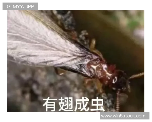 探索拉文真人图的神秘世界与历史渊源揭秘